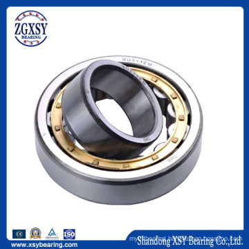 Bearing Manufacturer Nu303 Cylindrical Roller Bearings